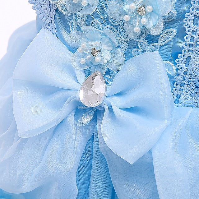 Girl Movie Cinderella Princess Girls' Dress Flower