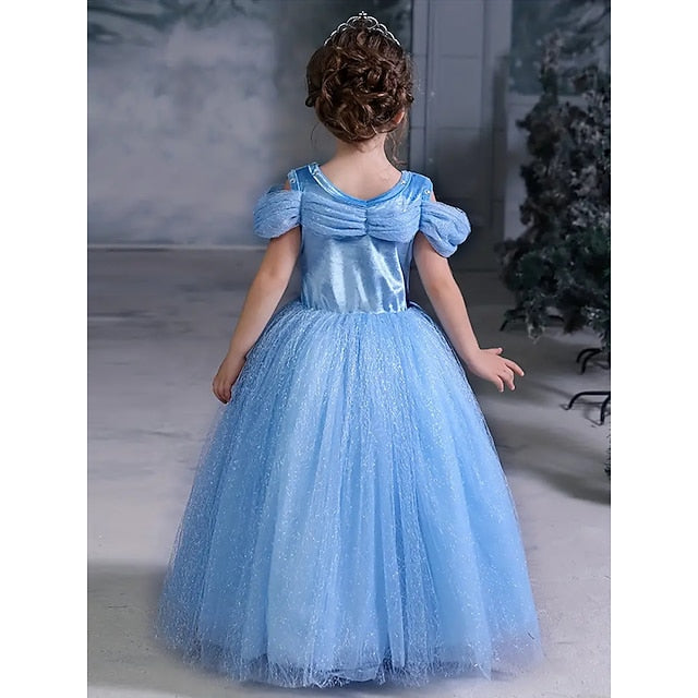 Frozen Elsa Princess Party Dress Theme Tulle Flower Costume Girl