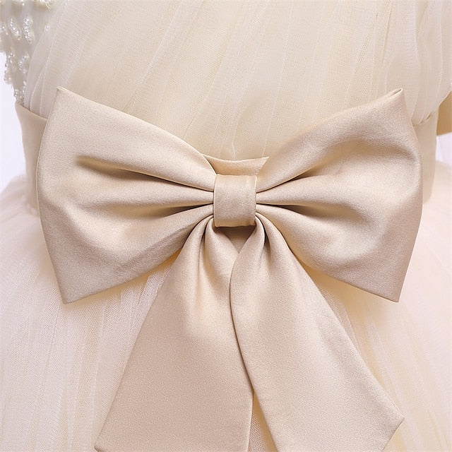 Girls' Dress Girl Princess Kid's Flower