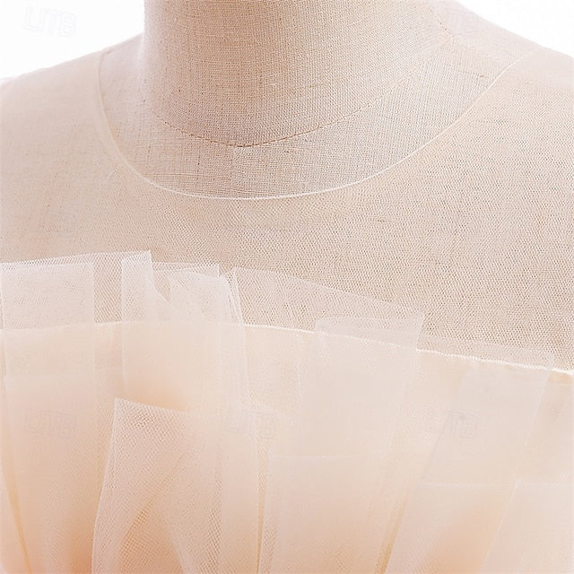 Flower Girls' Kid's Princess Girl Dress