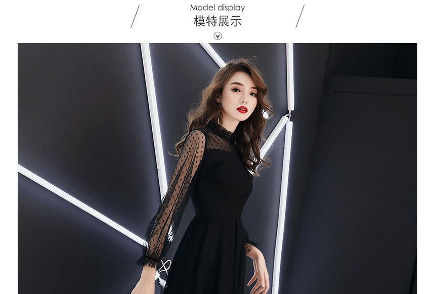 Long-Sleeve Mesh A-Line Evening Gown