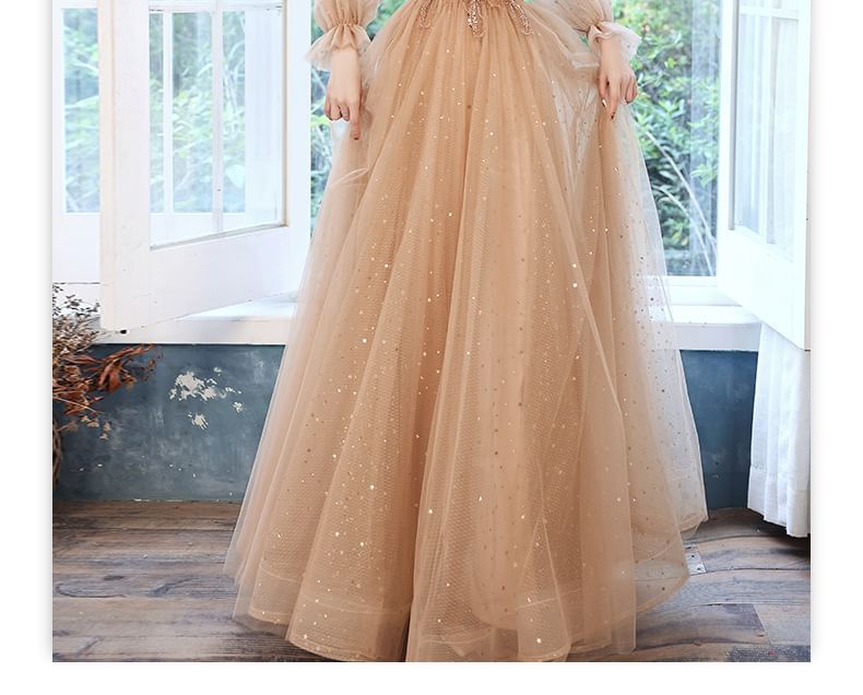 Long-Sleeve Sequin Mesh A-Line Evening Gown / Dress