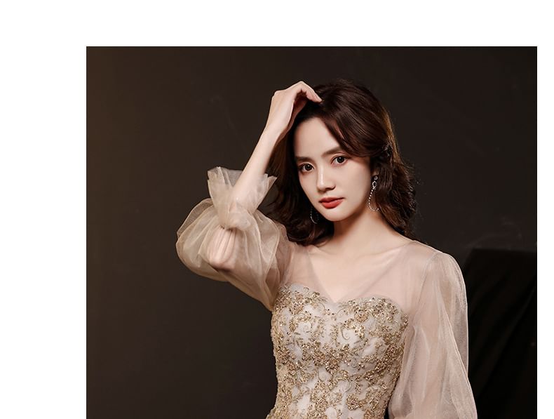 Long-Sleeve V-Neck Mesh A-Line Evening Gown / Dress