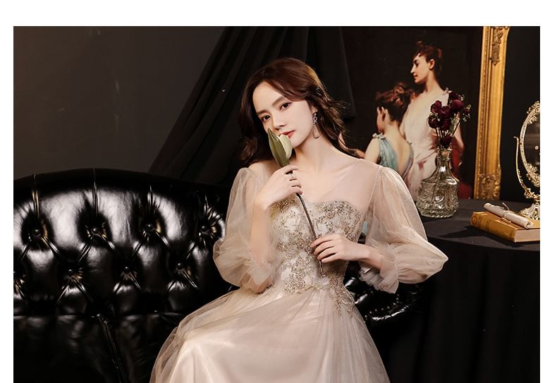 Long-Sleeve V-Neck Mesh A-Line Evening Gown / Dress