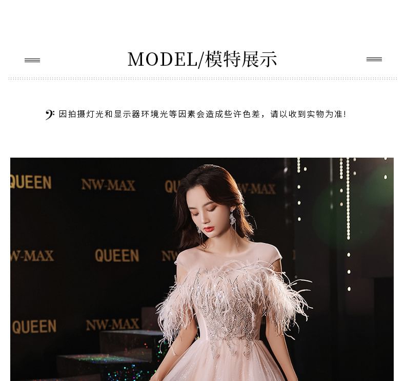 Off-Shoulder Sequin Fluffy Trim Mesh A-Line Evening Gown / Midi Dress