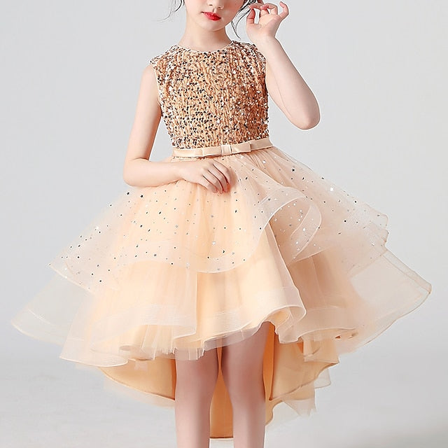 Dress Princess Party Girl Girls' Flower