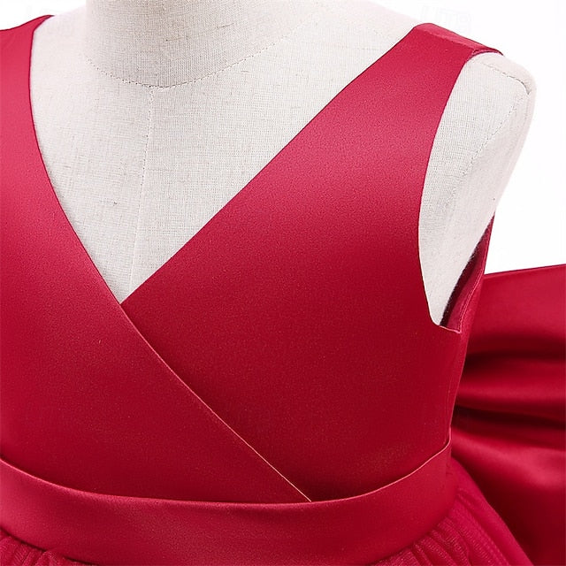 Princess Flower Girls' Dress Girl Kid's