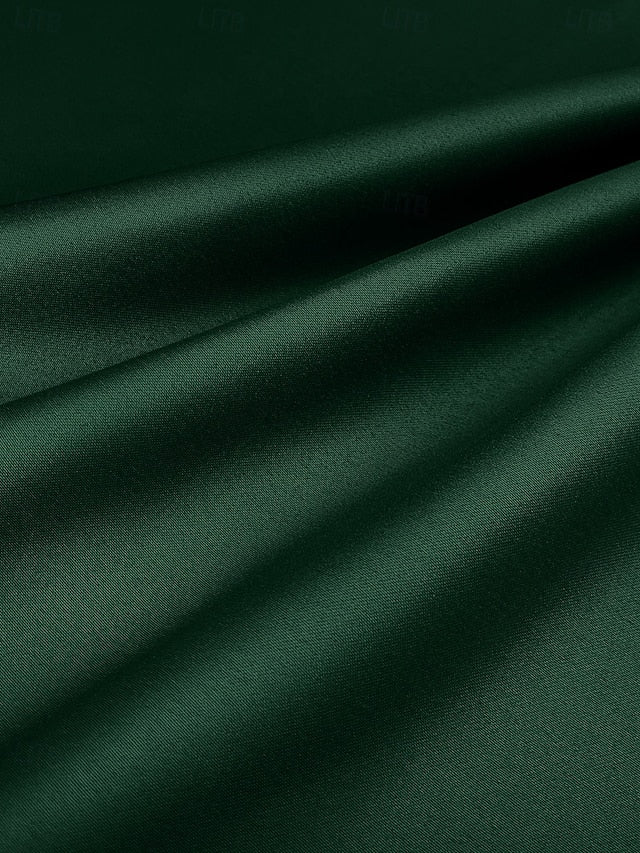 Evening Train Gown Formal Elegant A-Line / Sweep Dress Brush