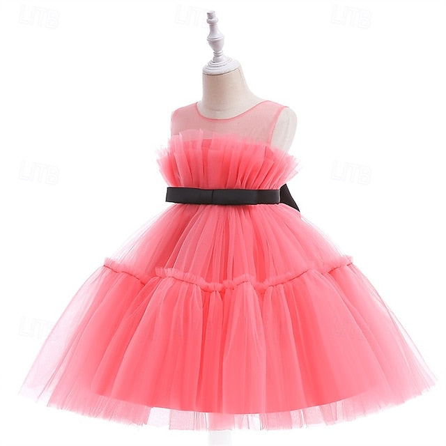 Flower Girls' Kid's Princess Girl Dress