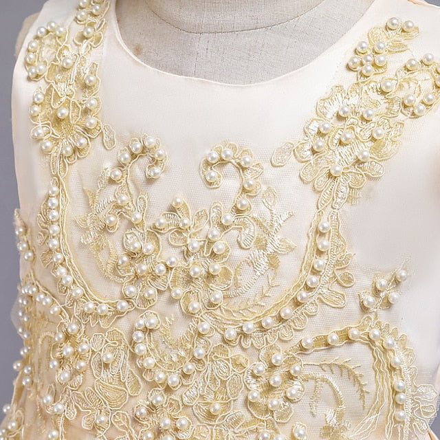 Wedding Girls' Girl Dress Flower Party