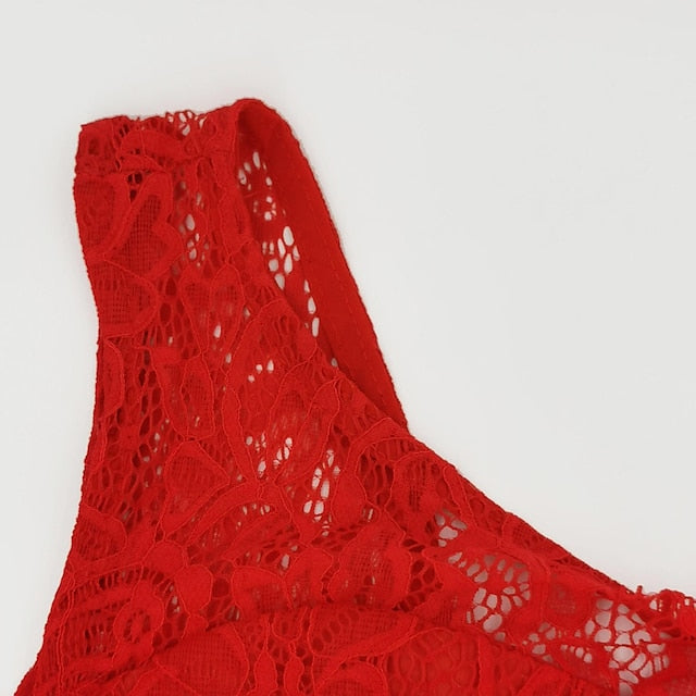 Women's Cocktail Party Dress Lace Dress Swing Dress Long