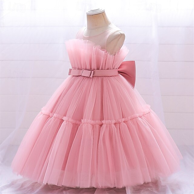 Flower Girls' Kid's Princess Girl Dress