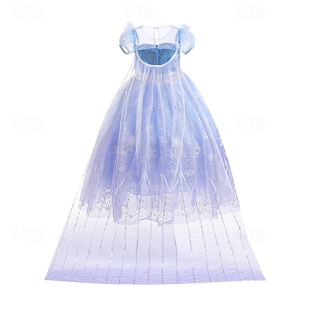 Elsa Frozen Flower Theme Dress Fairytale Princess Girl Party