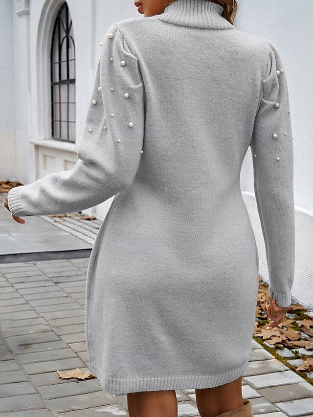 Women's Mini Dress Sweater Dress Elegant Modern Daily Going