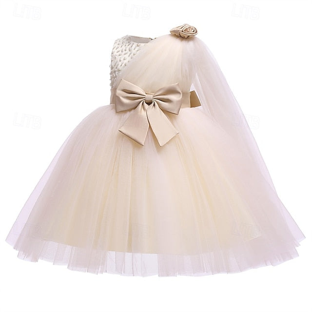 Girls' Dress Girl Princess Kid's Flower