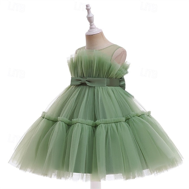 Flower Girls' Kid's Princess Girl Dress