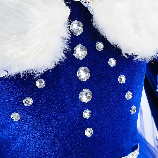 Theme Girl Princess Dress Fairytale Elsa Party Flower Frozen