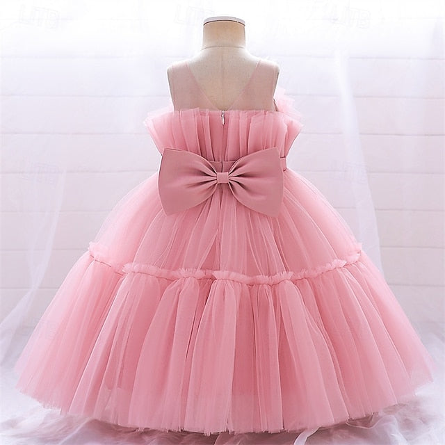 Flower Girls' Kid's Princess Girl Dress