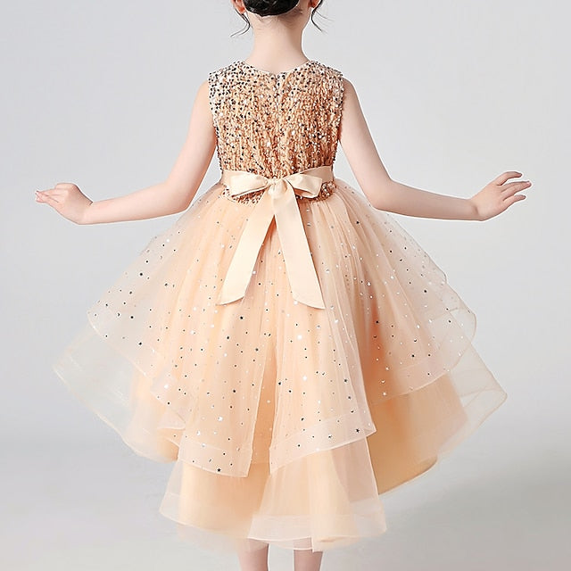 Dress Princess Party Girl Girls' Flower