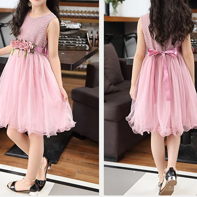 Dress Girls' Performance Girl Flower Party