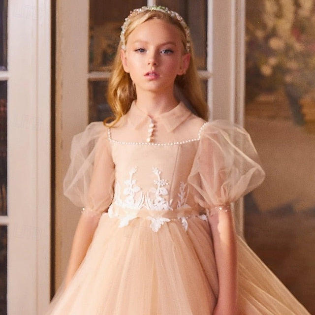 Evening Flower Dress Girls' Girl Princess Party Gown