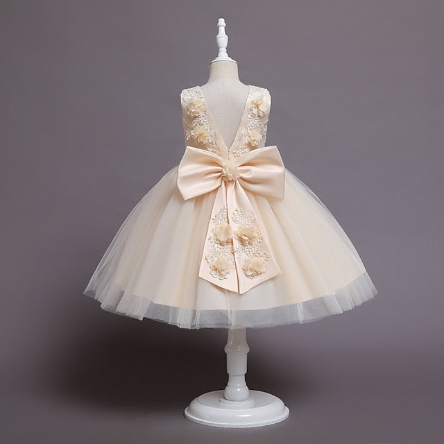 Girl Dress Flower Girls' Wedding Party