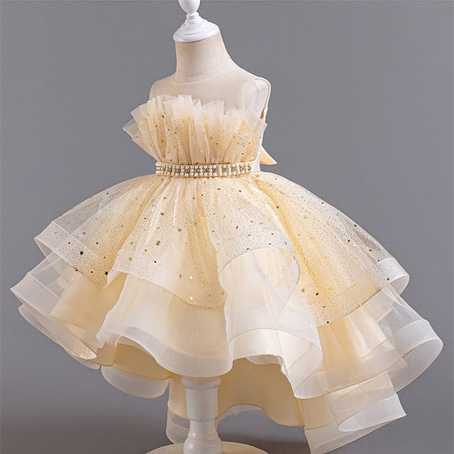 Flower Girls' Dress Princess Girl Kid's