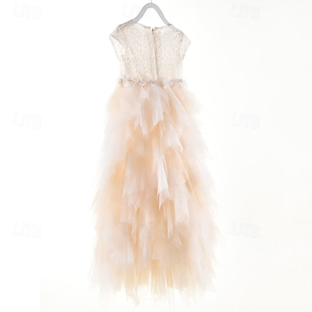 Princess Girl Dress Flower Girls' Kid's