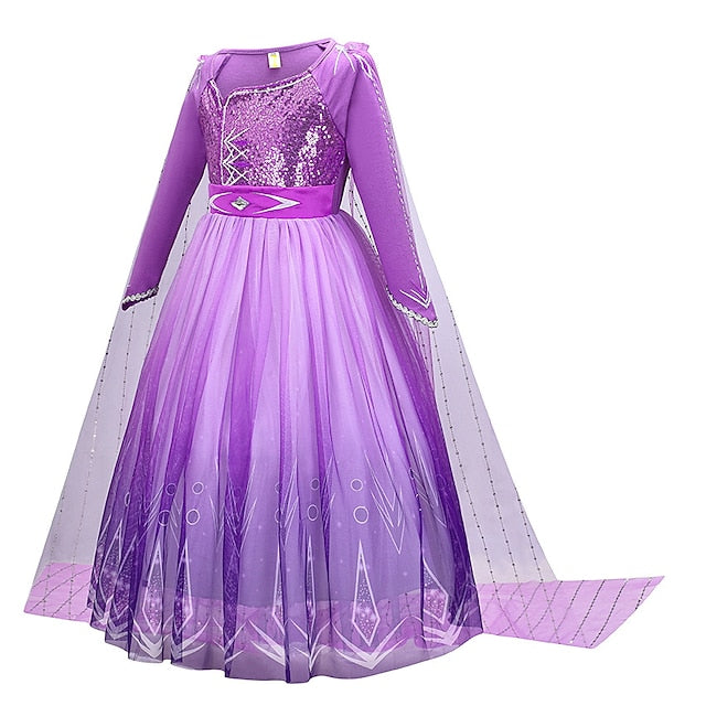 Theme Anna Fairytale Frozen Dress Flower Princess Girl Party