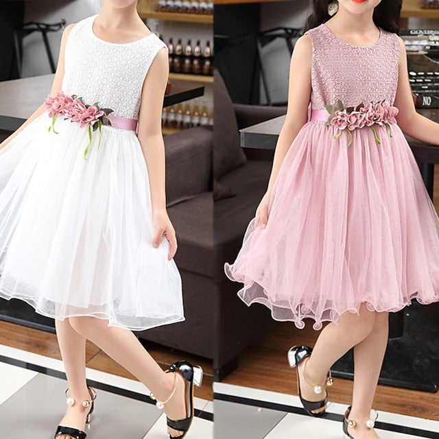 Dress Girls' Performance Girl Flower Party