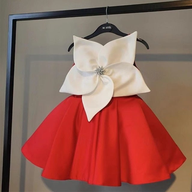 Kid's Princess Girls' Dress Girl Flower