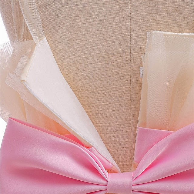 Flower Girls' Kid's Princess Girl Dress