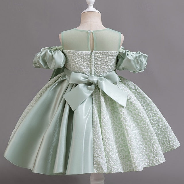 Party Formal Girls' Wedding Flower Girl Dress