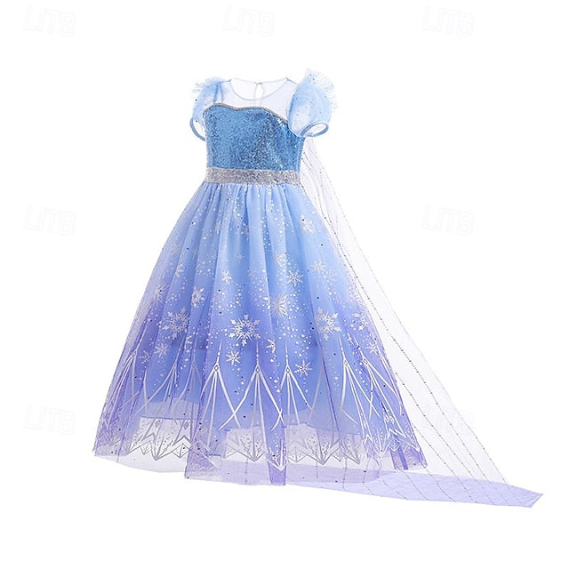 Elsa Frozen Flower Theme Dress Fairytale Princess Girl Party