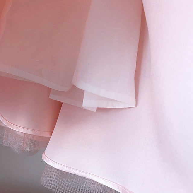 Dress Girls' Princess Kid's Girl Flower