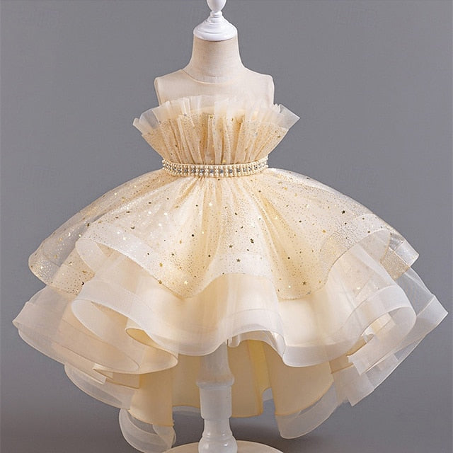 Flower Girls' Dress Princess Girl Kid's