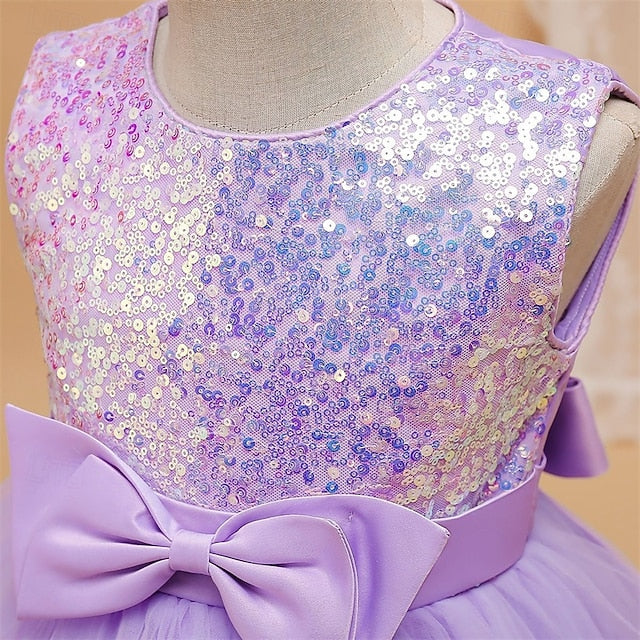 Flower Princess Girls' Kid's Dress Girl