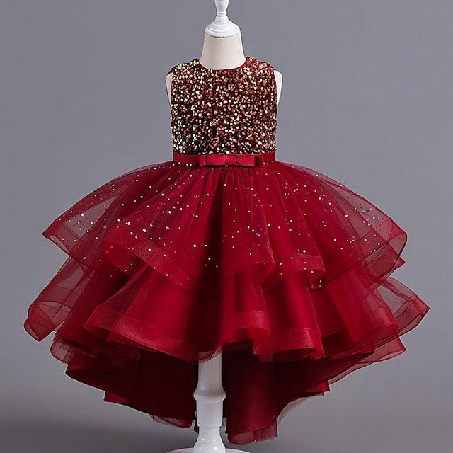 Girl Performance Dress Flower Party Girls'