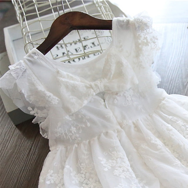 Girls' Party Flower Girl Dress Princess