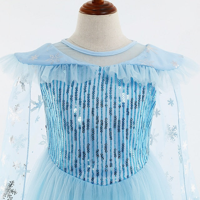 Princess Frozen Elsa Girl Flower Dress Party Theme Fairytale
