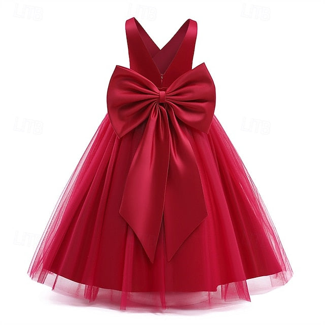 Princess Flower Girls' Dress Girl Kid's