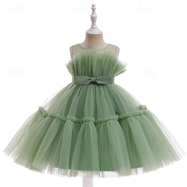 Flower Girls' Kid's Princess Girl Dress