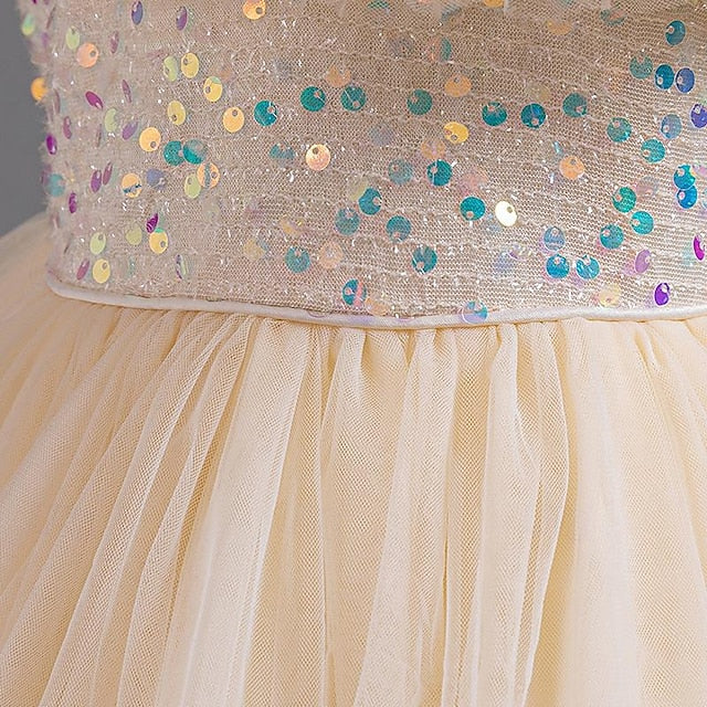 Sequin Kids Girls' Party Flower Girl Sleeveless Dress