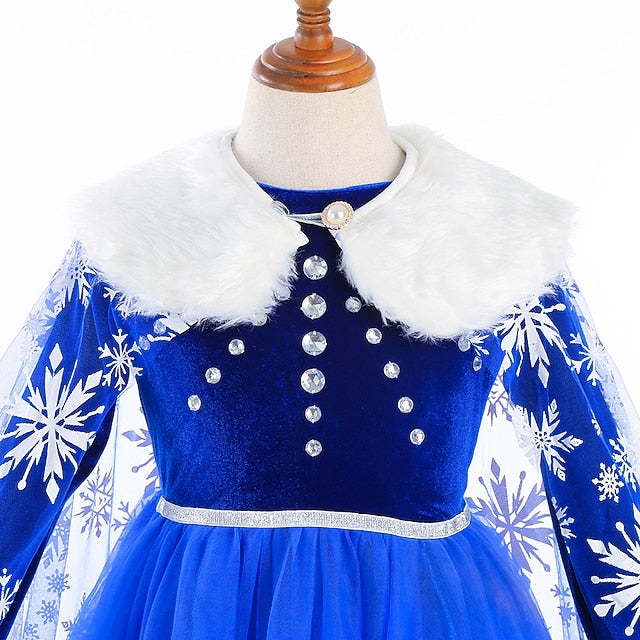 Theme Girl Princess Dress Fairytale Elsa Party Flower Frozen
