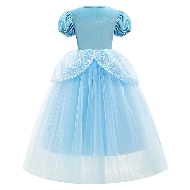 Party Princess Girl Dress Cinderella Fairytale Theme Flower