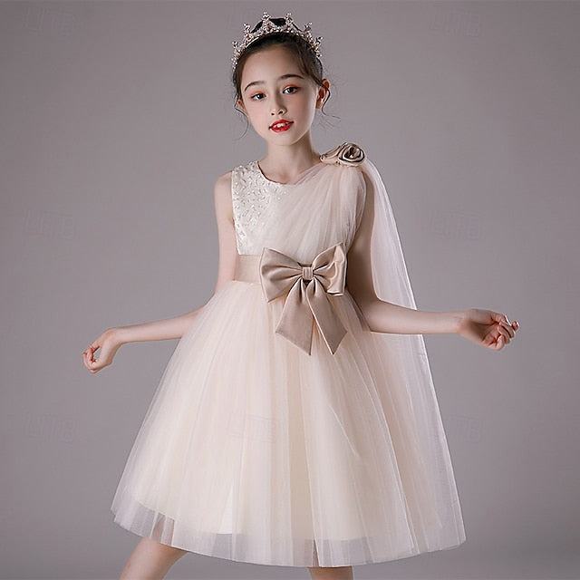 Girls' Girl Kid's Flower Dress Princess