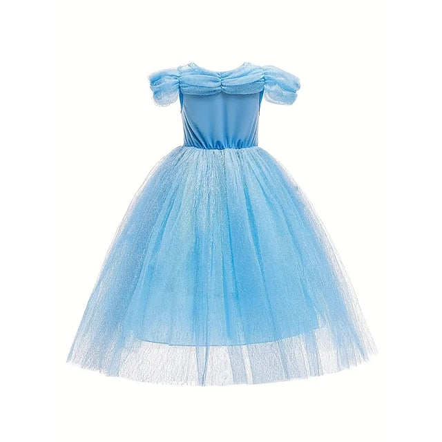 Frozen Elsa Princess Party Dress Theme Tulle Flower Costume Girl