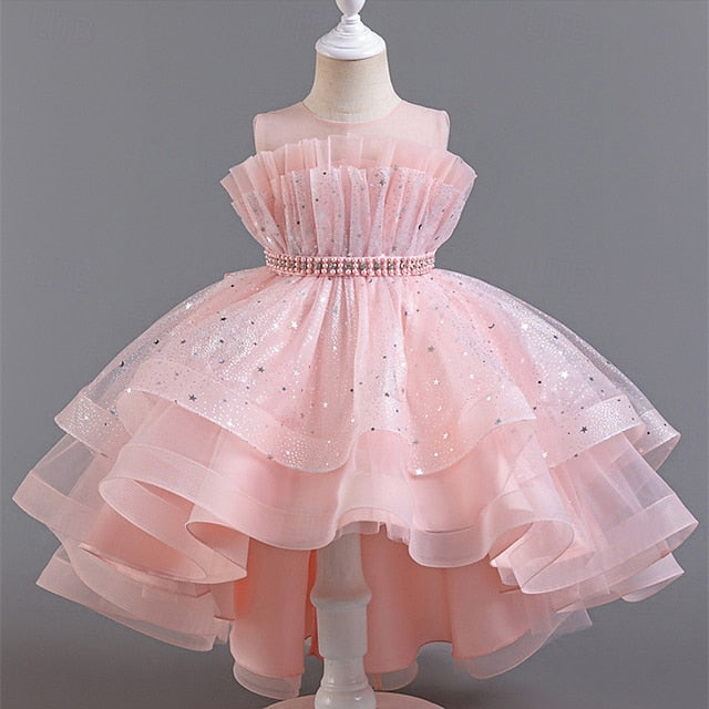 Flower Girls' Dress Princess Girl Kid's