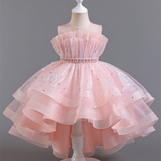 Flower Girls' Dress Princess Girl Kid's