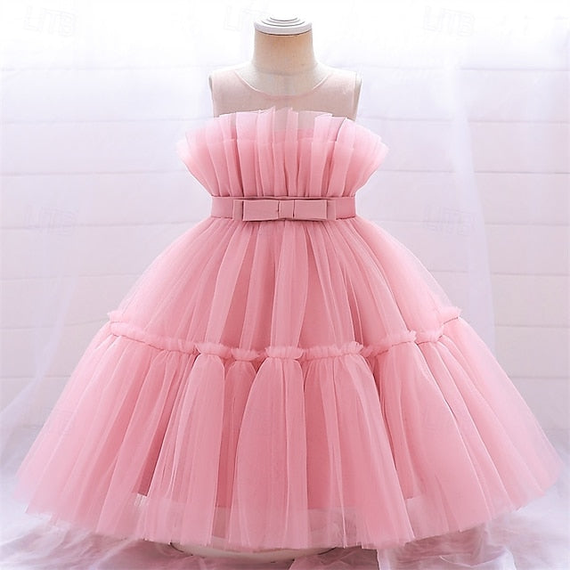 Flower Girls' Kid's Princess Girl Dress